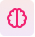 brain icon